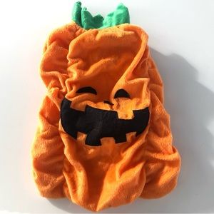 Michael Small Pet Pumpkin Halloween Costume